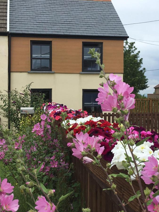 Willow Mews Country house Swansea